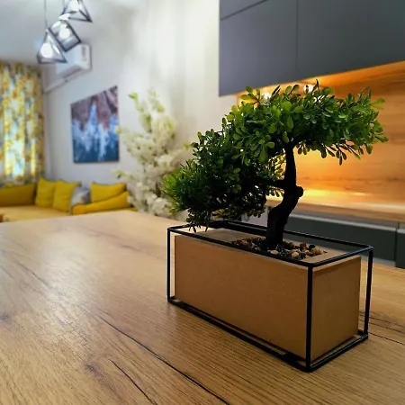 Apartment Three-room In The Center Of
